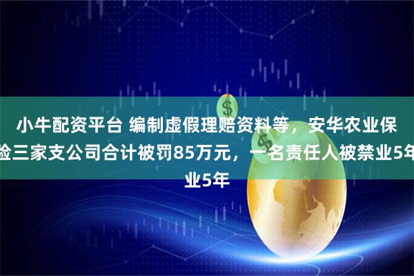 小牛配资平台 编制虚假理赔资料等，安华农业保险三家支公司合计被罚85万元，一名责任人被禁业5年