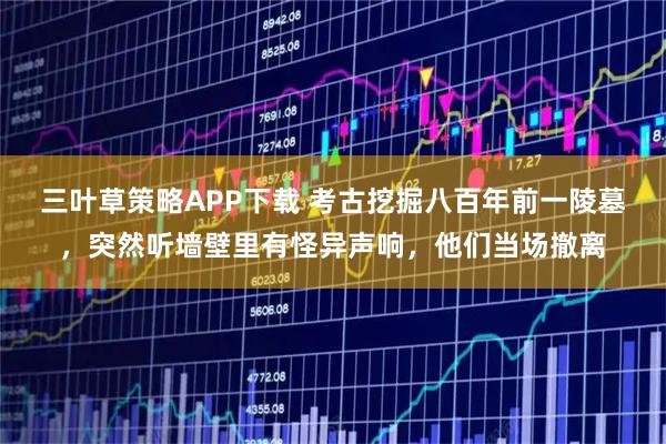 三叶草策略APP下载 考古挖掘八百年前一陵墓，突然听墙壁里有怪异声响，他们当场撤离