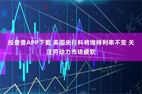 投查查APP下载 英国央行料将维持利率不变 关注劳动力市场疲软